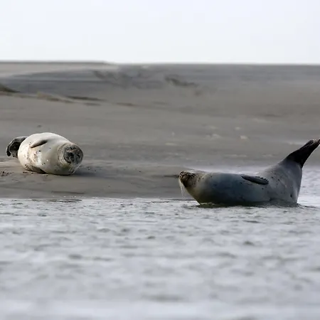 Quai 22 Vue Port ! *