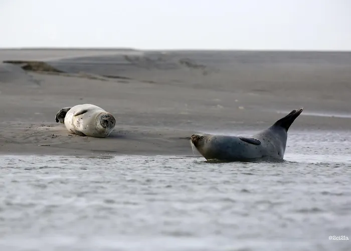 Quai 22 Vue Port ! *